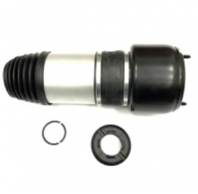 Передний левый правый пневмобаллон Mercedes CLS W219